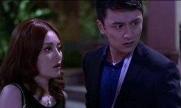 秘密跟踪在线观看,揭秘网络追踪背后的惊悚故事